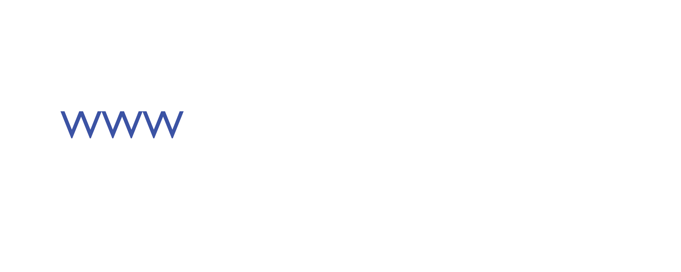 Cyber Spider Web